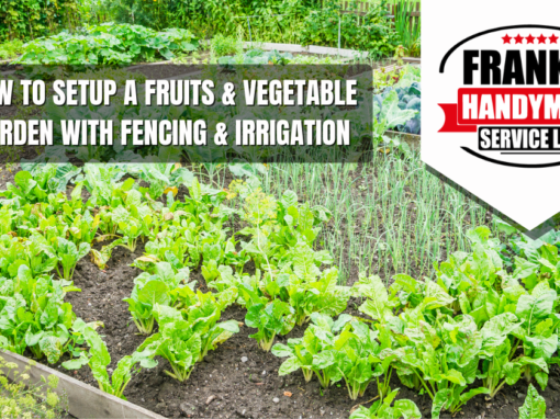 How To Setup A Fruits & Vegetable Garden 2022 portland