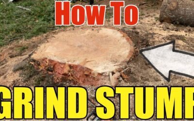 How to Grind a Large Tree Stump: Step-by-Step DIY with Professional Results