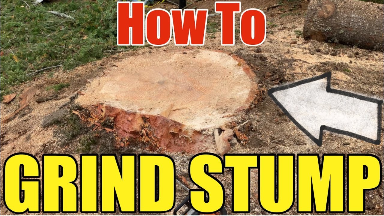 How to Grind a Large Tree Stump: Step-by-Step DIY with Professional Results