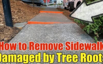 How To Remove A Public Sidewalk That Was Damaged By Tree Roots In Beaverton, Oregon Step by Step DIY