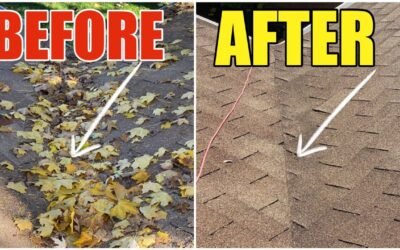 How To Remove Leaves From The Roof Without Damaging It Step by Step To Prolong The Life Of Your Roof