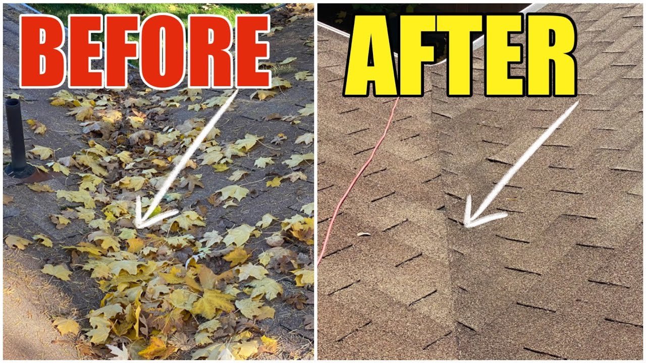 How To Remove Leaves From The Roof Without Damaging It Step by Step To Prolong The Life Of Your Roof