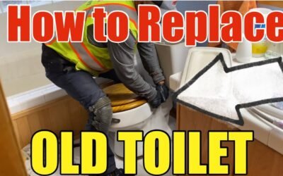 How To Replace A Toilet DIY – Full Step by Step Process Explained | Delta Dual Flush Toilet