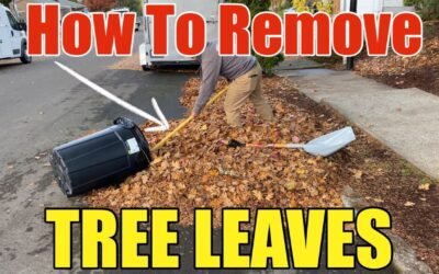 Most Efficient Way To Pick Up Fall Leaves Step by Step DIY | How To Rake Leaves The Easy Way