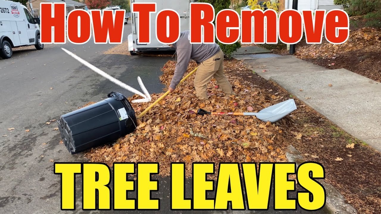 Most Efficient Way To Pick Up Fall Leaves Step by Step DIY | How To Rake Leaves The Easy Way