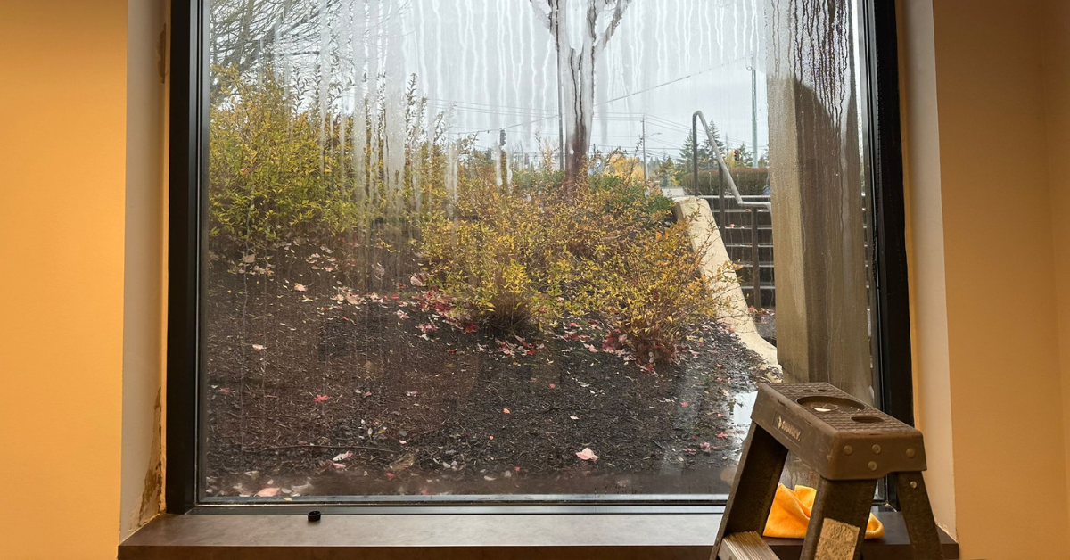 Eco-Friendly Remodeling Projects for Your Home in Aloha