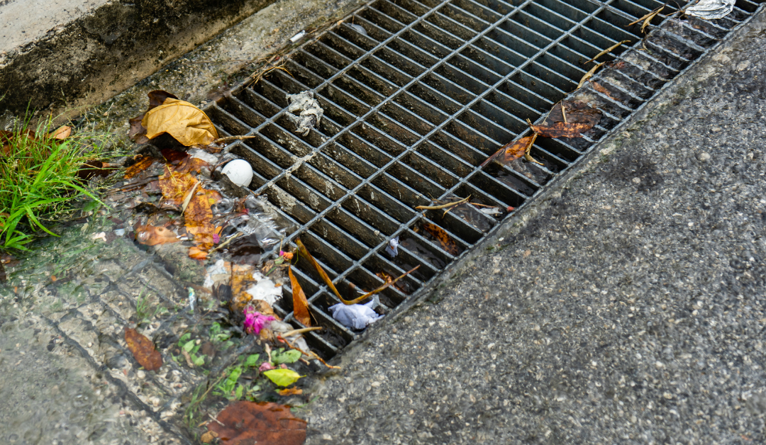 Preparing for the Rainy Season: Drainage Solutions in Aloha