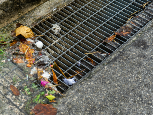 drainage solutions Aloha