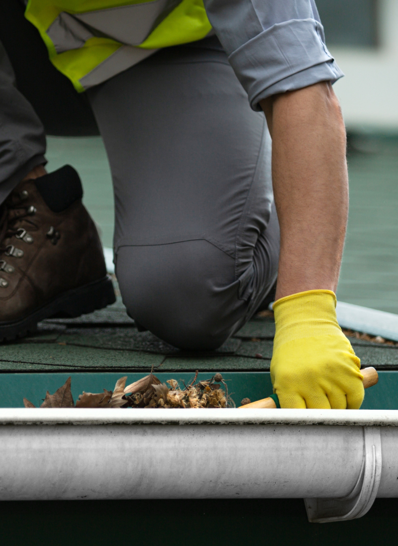 Gutter Cleaning & Repair Gutter Cleaning & Repair
